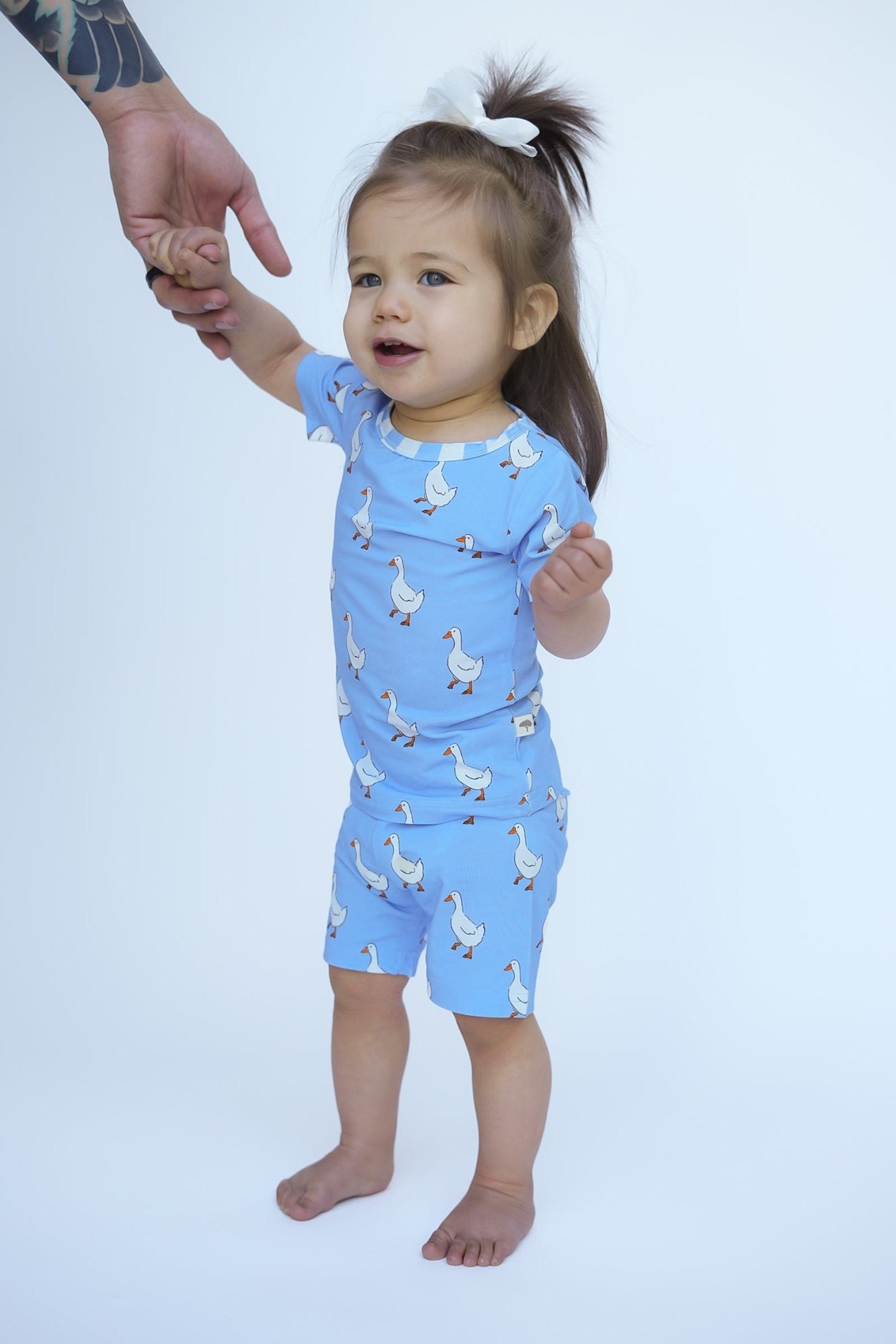Goose Two - Piece Shorts Jammies - Ever Colter Co