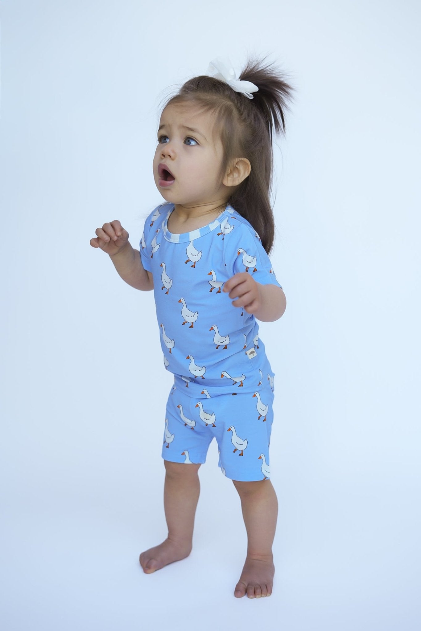 Goose Two - Piece Shorts Jammies - Ever Colter Co